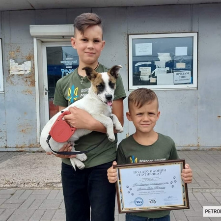 Песик допомагає ЗСУ