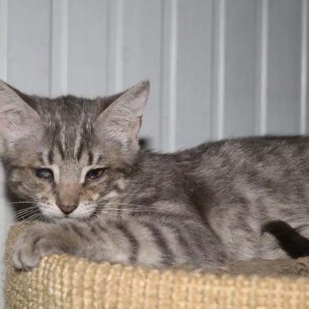 Особлива дівчинка Соня