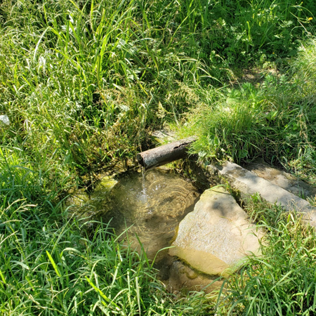 Джерело в районі «Новий пляж»
