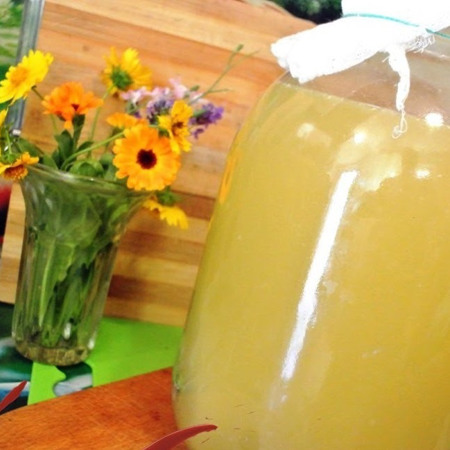 Цілющий трав’яний квас Болотова