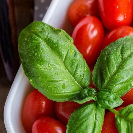 Томати «Найсмачніші»