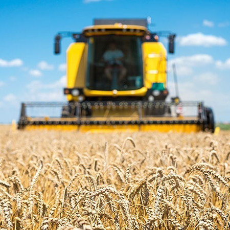 Шановні аграрії ТОВ «Алмаз»!