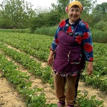 Неофіційна полунична столиця  - село Ліски