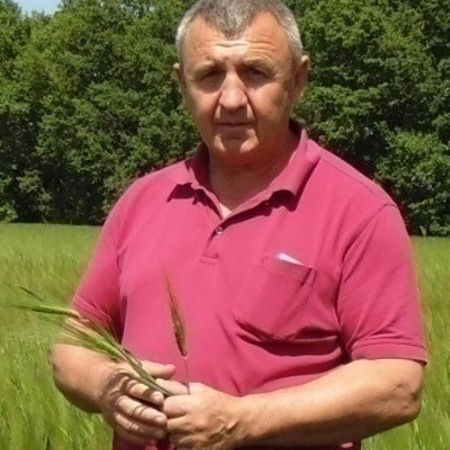 Шановні працівники СПП «У Петровича»!