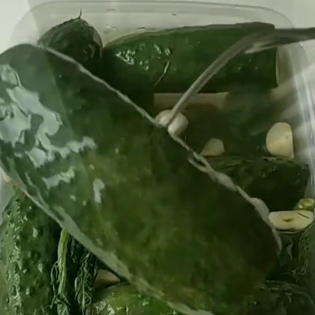 Огірки малосольні на окропі