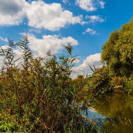 Покататися на човні 