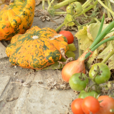 Справжні городи