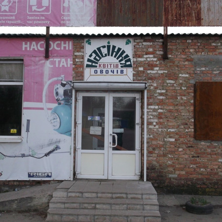 Насіння квітів та овочів