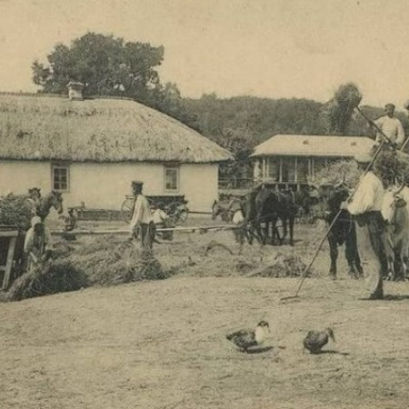 Велички, Гусаченки, Дахно, Грузіни, Лисниченко