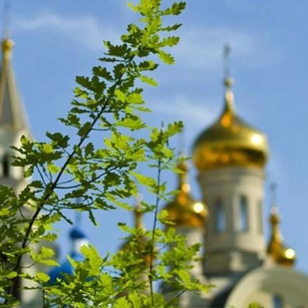 Єдина церква