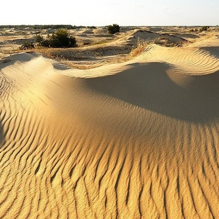 Олешківські піски