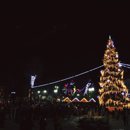 Головна ялинка Калуша