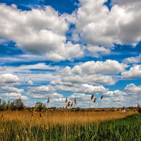 Подивитися на небо та забути про все на світі 