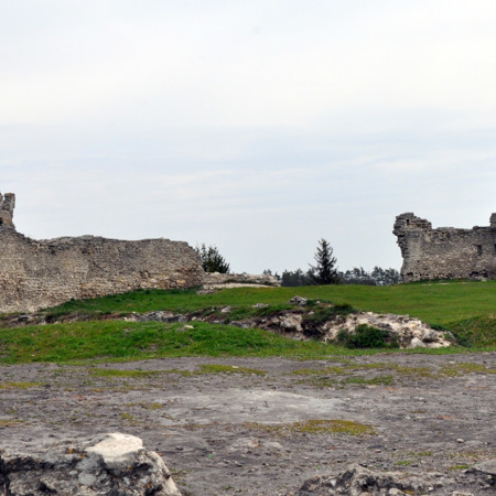 Замкова гора Бона