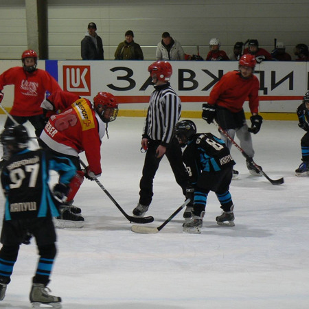 Відвідати хокейний матч або покататися на ковзанах