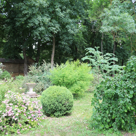 Розкішний парк