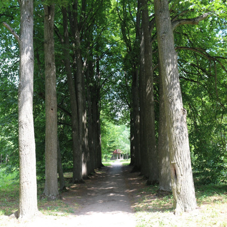 Липова алея