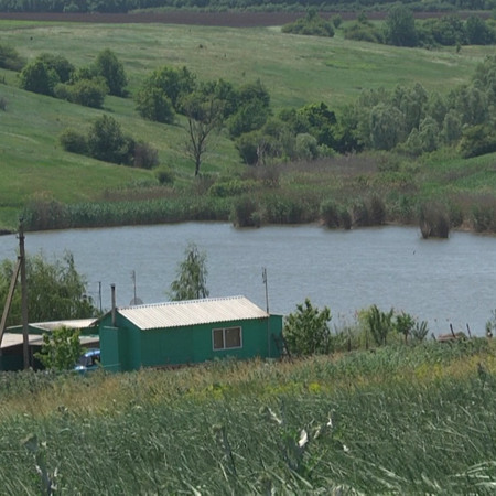 Розівський ставок
