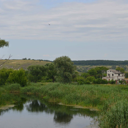 Вид на річку Красну