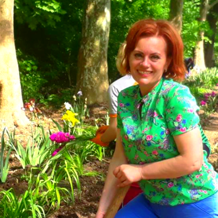 Ірисова алея в парку “Дністер”