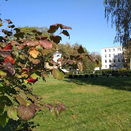 Пантеон Божої Матері-Покрови