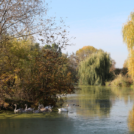 Гідропарк на Шахівці
