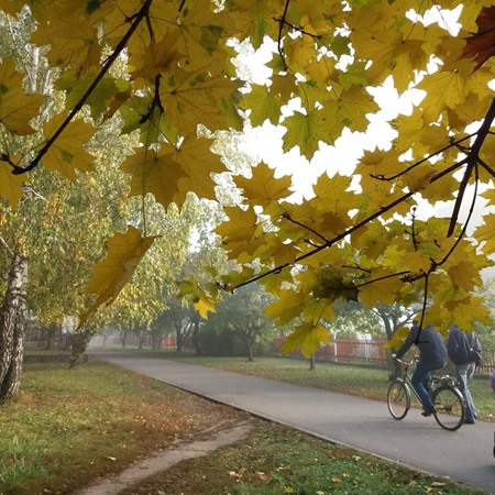 Алея Хохтіфф