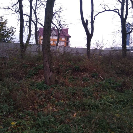 Закинутий парк у центрі міста