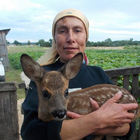 П'є молоко і живе в хліві: барвинівський пес привів додому маленьке оленя