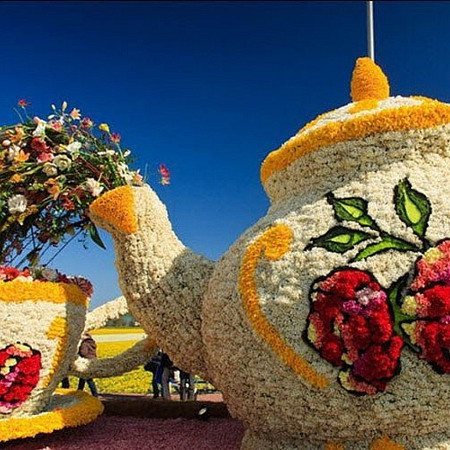 Київ. Виставка квітів на Співочому полі 