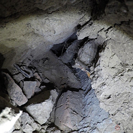 Сюрприз Воловьего кладбища