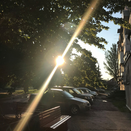 Ранкові промені сонця