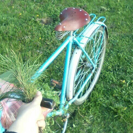 Крадіжки саджанців