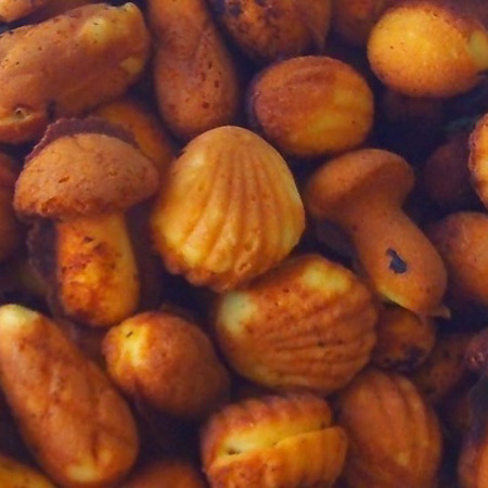 Пухкі горішки, шишки і грибочки