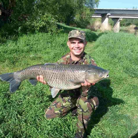 Андрій Чередніченко
