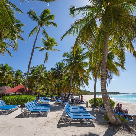 Домінікана