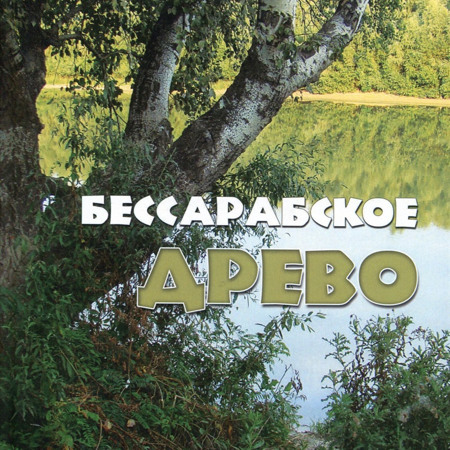 «Бессарабское древо». А. Галкина-Переверзева