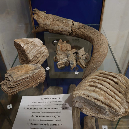 Зуби мамонта