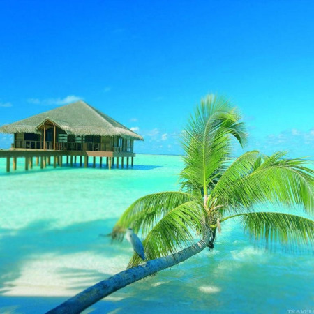 Пляжна екзотика