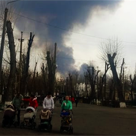 Масшбатні пожежі у плавнях