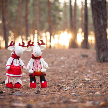 М’яка іграшка від Катерини Баранюк