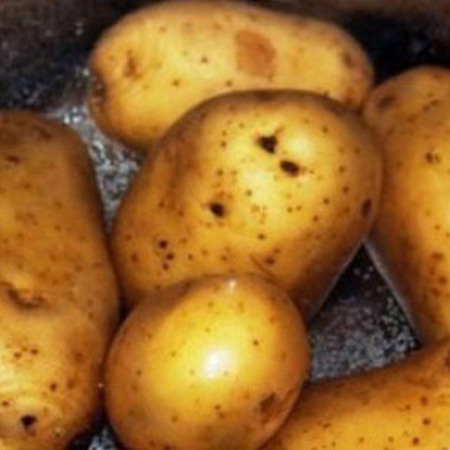 Міф 1. Слід подихати над щойно звареною картоплею і нежить пройде