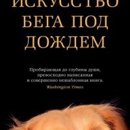 Гарт Стайн. Искусство бега под дождем 