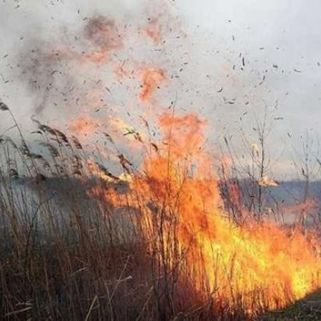 Масове спалювання очерету у Золотоноші