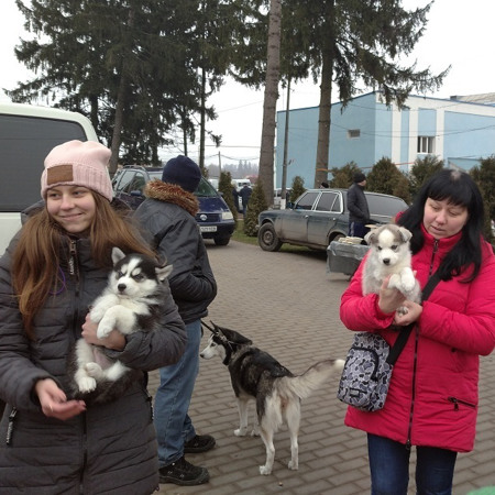 Виставка тварин та птиці