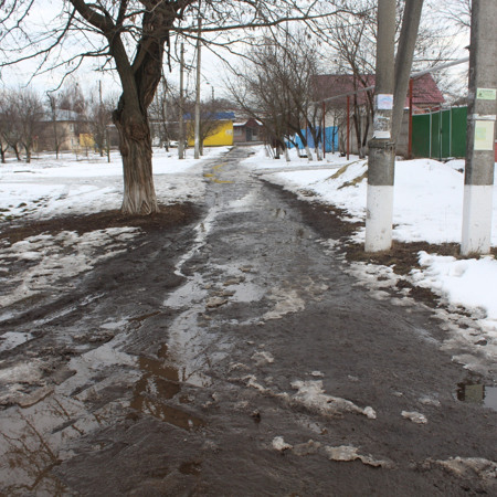  По вулиці Паркова