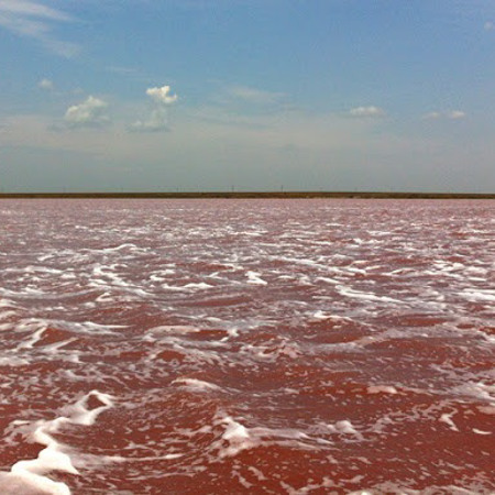 Херсонщина: рожеві озера Сиваша