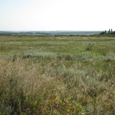 Степові простори