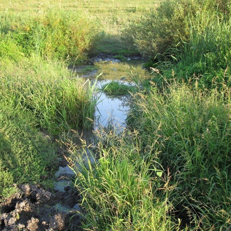 Біжить струмок