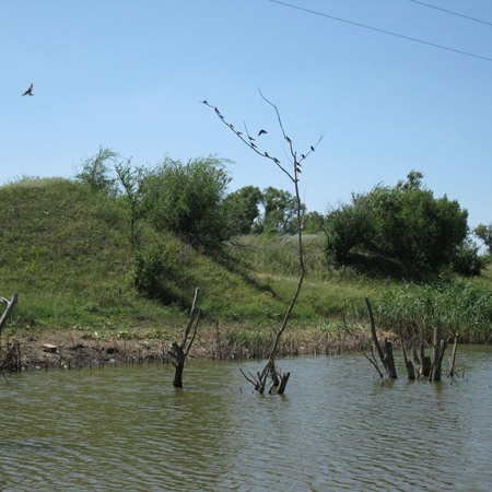 Багачанський ставок
